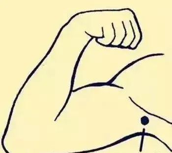 必知穴位图解及详细功效作用大揭秘！从太阳穴到照海穴一文全掌握插图16