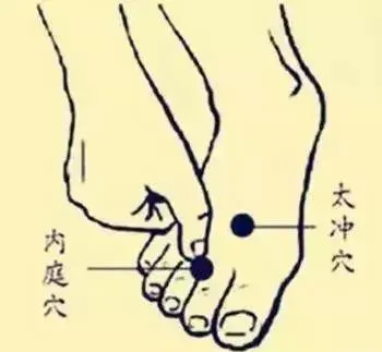 必知穴位图解及详细功效作用大揭秘！从太阳穴到照海穴一文全掌握插图21