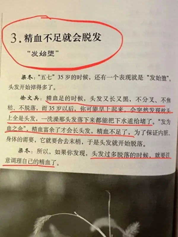 精血不足易脱发，从医案看如何精准调理焕发新生插图