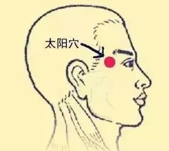 必知穴位图解及详细功效作用大揭秘！从太阳穴到照海穴一文全掌握插图