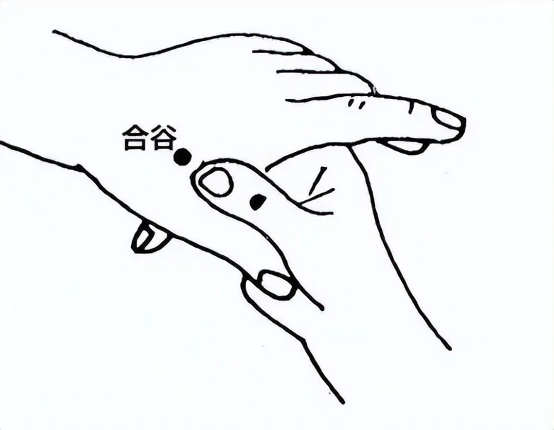 必知！人体八大关键穴位，开启中医养生保健密码插图3