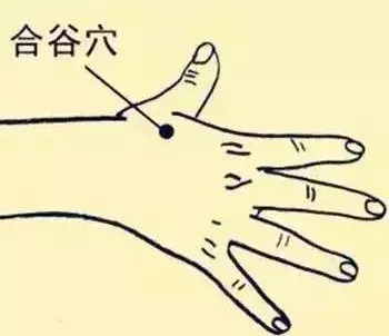 必知穴位图解及详细功效作用大揭秘！从太阳穴到照海穴一文全掌握插图13