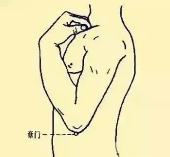 必知穴位图解及详细功效作用大揭秘！从太阳穴到照海穴一文全掌握插图8