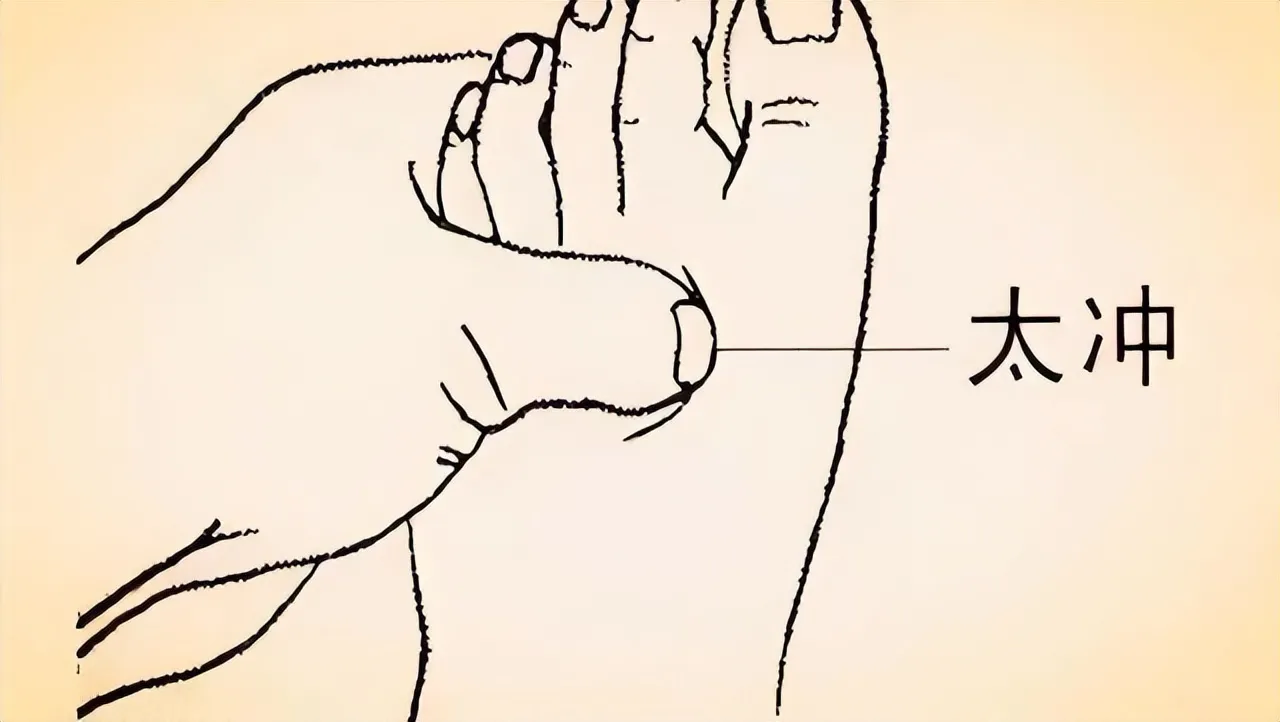 中医穴位养生全攻略：常见穴位解析与综合养生指南插图9