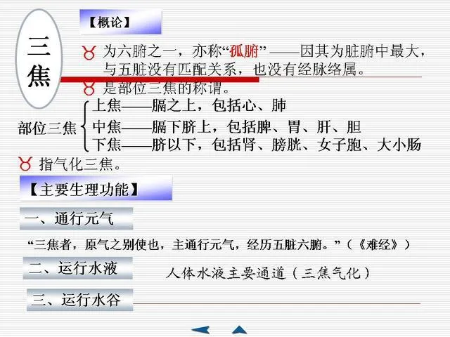 中医基础理论大全，赶紧收藏吧！插图52