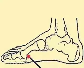 必知穴位图解及详细功效作用大揭秘！从太阳穴到照海穴一文全掌握插图25