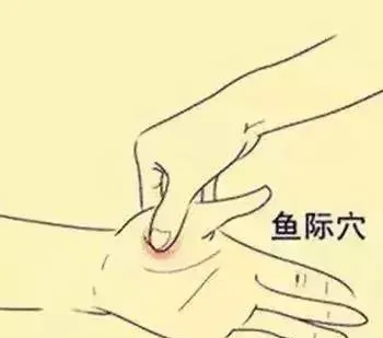 必知穴位图解及详细功效作用大揭秘！从太阳穴到照海穴一文全掌握插图12