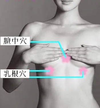 一文读懂人体最重要 12 大穴位,养生保健全攻略!插图5 一文读懂人体最重要 12 大穴位,养生保健全攻略!插图5