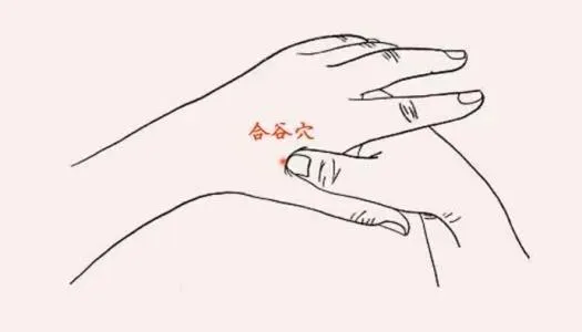 十有九人患皮肤顽疾？中医 5 穴搭配饮食内调，教你摆脱困扰！插图4