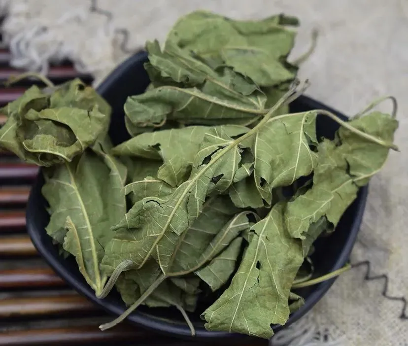 中医前辈竺友泉应对脱发与斑秃的妙方，凉血化瘀养新血插图1