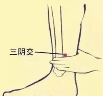 必知穴位图解及详细功效作用大揭秘！从太阳穴到照海穴一文全掌握插图19