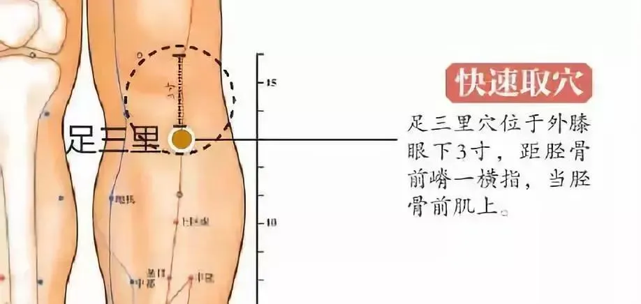30 个超级有效穴位大集合：病症对应、取穴方法与按摩诀窍全知晓！插图5