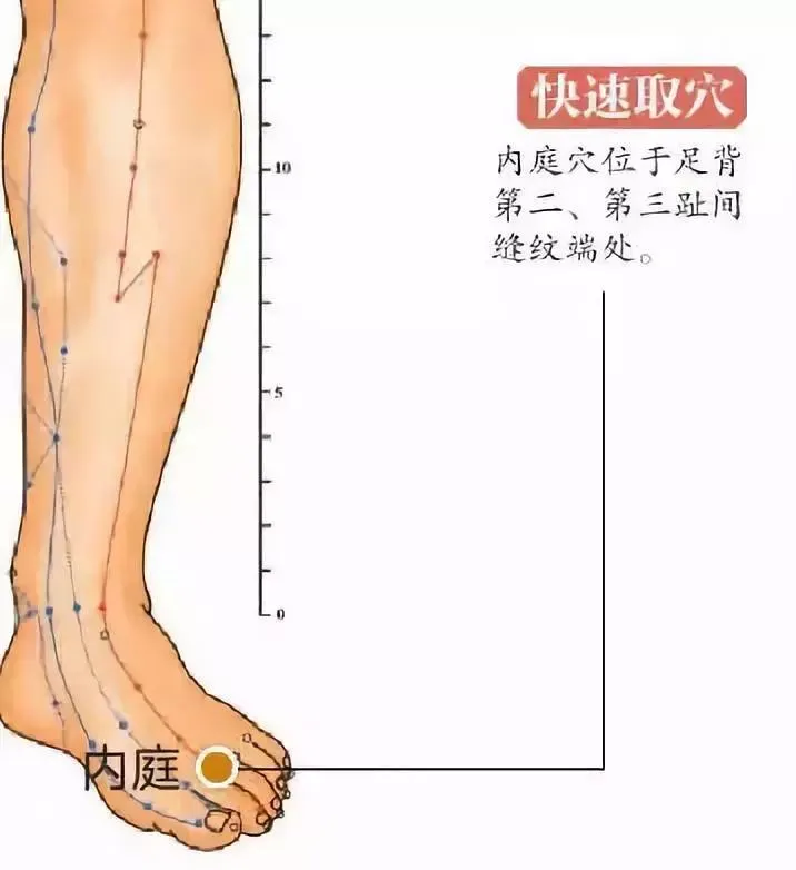 30 个超级有效穴位大集合：病症对应、取穴方法与按摩诀窍全知晓！插图13