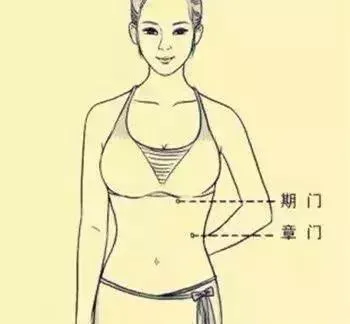 必知穴位图解及详细功效作用大揭秘！从太阳穴到照海穴一文全掌握插图9
