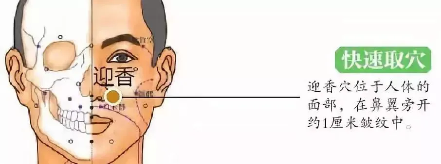 30 个超级有效穴位大集合：病症对应、取穴方法与按摩诀窍全知晓！插图12