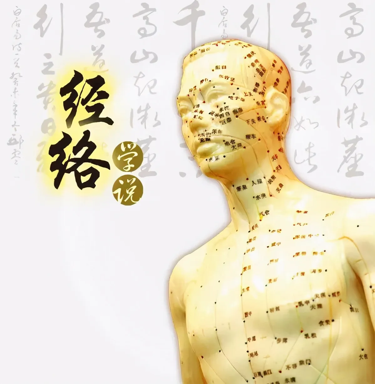 中医学理论：恒久品格与时代创新的交融，探寻独特医学智慧插图3