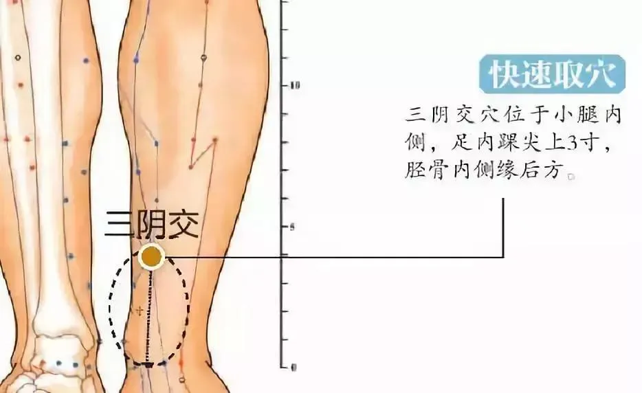 30 个超级有效穴位大集合：病症对应、取穴方法与按摩诀窍全知晓！插图8