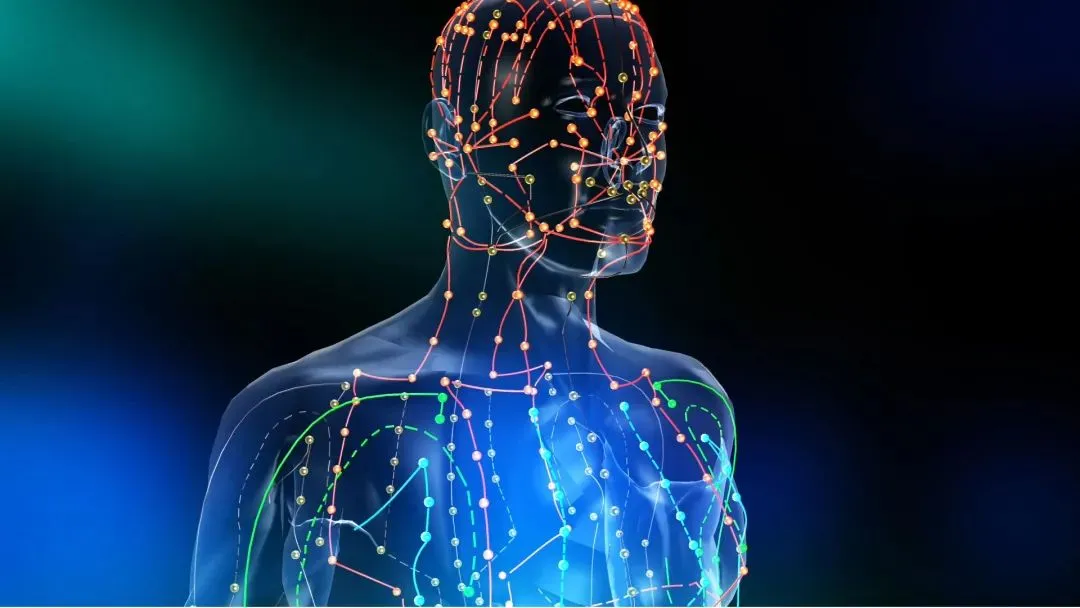 自学中医指南：避三忌、抓关键，从经典与实践中掌握切脉针灸绝学插图3