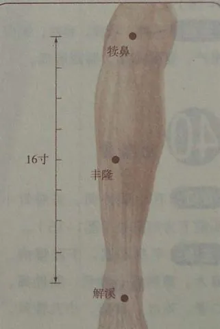 一文读懂人体最重要 12 大穴位,养生保健全攻略!插图11 一文读懂人体最重要 12 大穴位,养生保健全攻略!插图11
