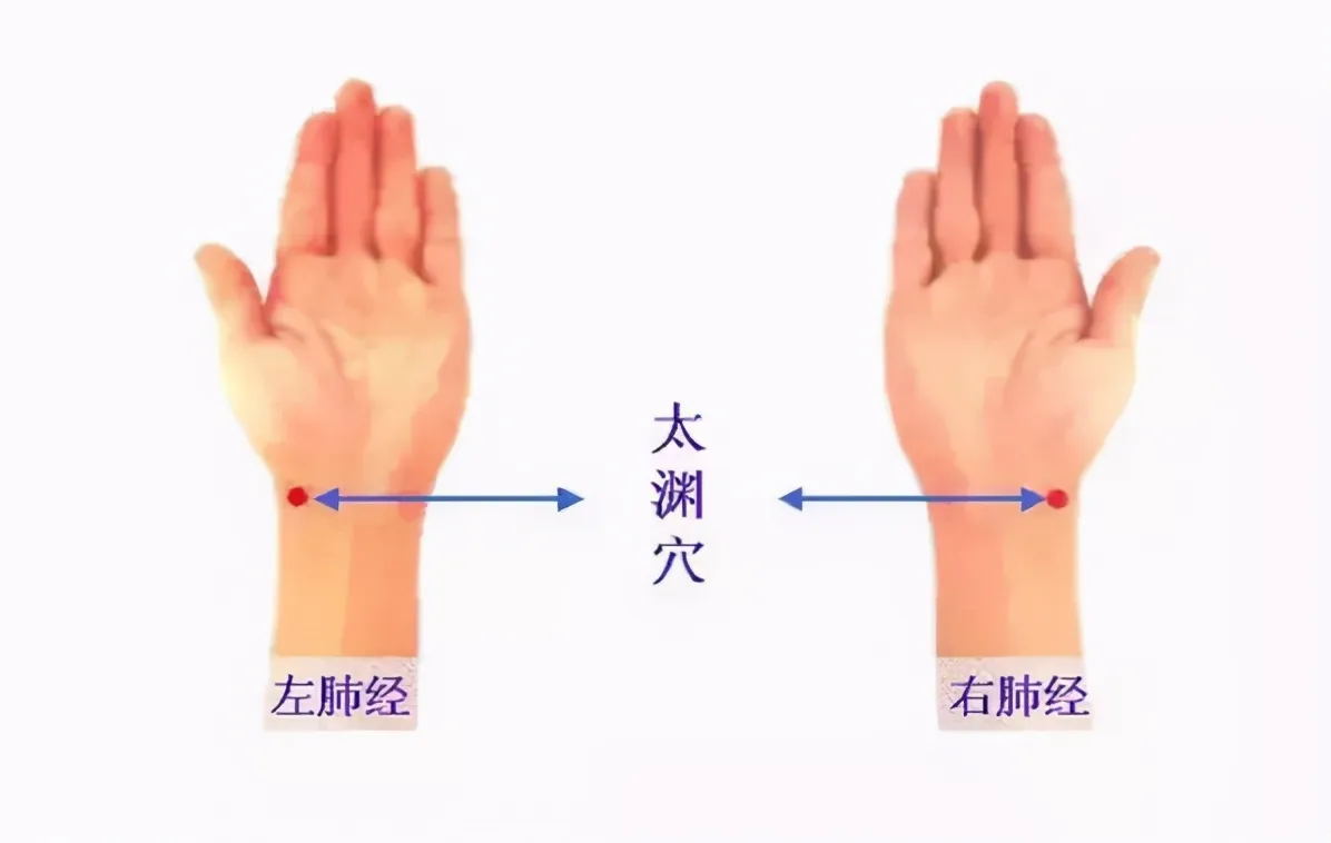 30 个超级有效穴位大集合：病症对应、取穴方法与按摩诀窍全知晓！插图32