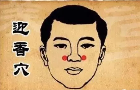 30 个超级有效穴位大集合：病症对应、取穴方法与按摩诀窍全知晓！插图26