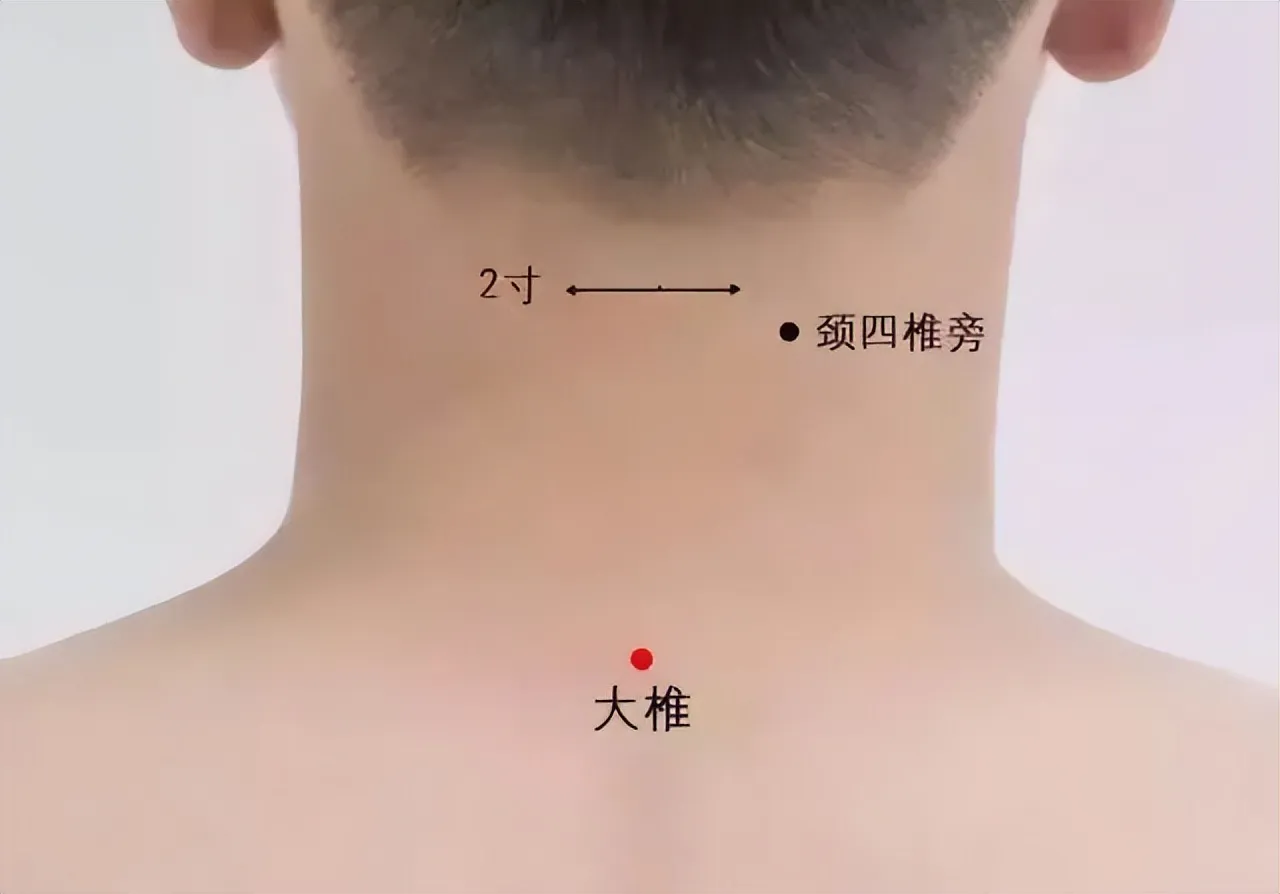 必知！人体八大关键穴位，开启中医养生保健密码插图5