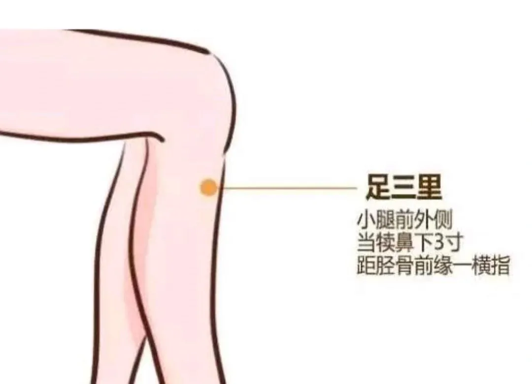 揭秘 “神奇铁三角”：足三里、合谷、太冲穴位按摩的健康奥秘插图