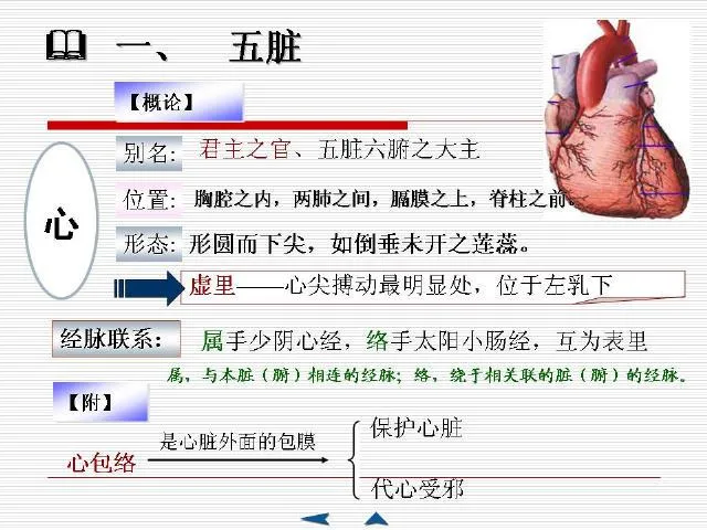中医基础理论大全，赶紧收藏吧！插图33
