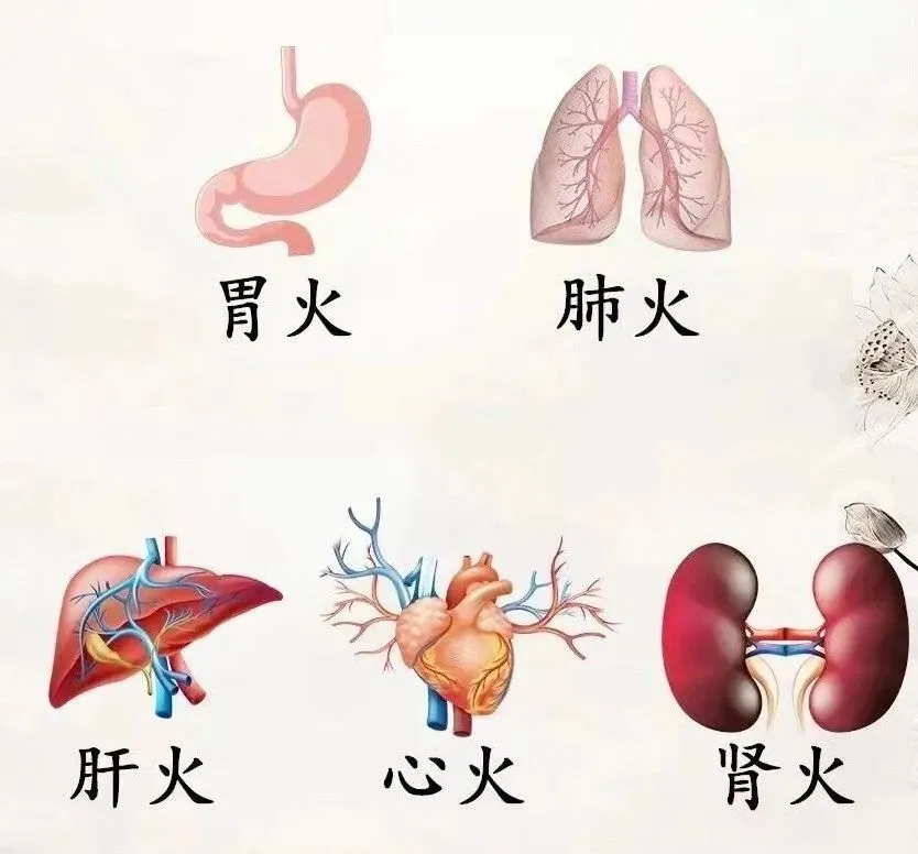 2 味药巧治脱发，根源竟在气血虚血热！插图1