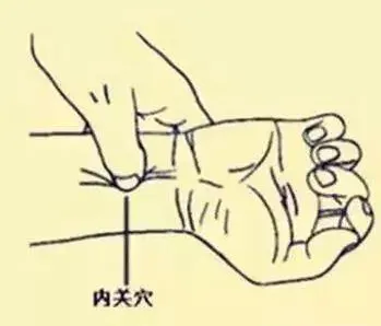 必知穴位图解及详细功效作用大揭秘！从太阳穴到照海穴一文全掌握插图15