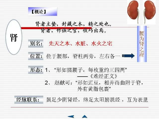 中医基础理论大全，赶紧收藏吧！插图42