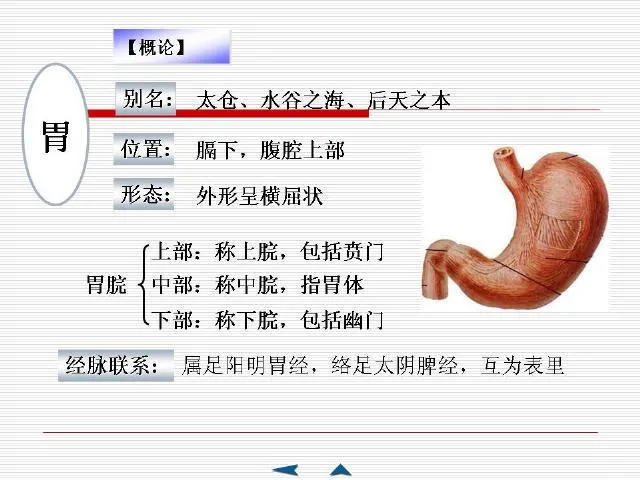 中医基础理论大全，赶紧收藏吧！插图47