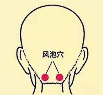 必知穴位图解及详细功效作用大揭秘！从太阳穴到照海穴一文全掌握插图3