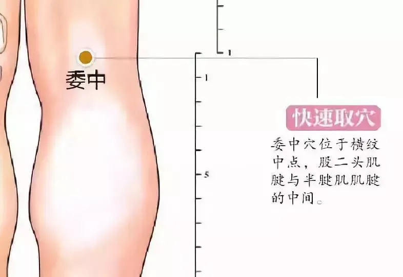 30 个超级有效穴位大集合：病症对应、取穴方法与按摩诀窍全知晓！插图11
