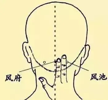 必知穴位图解及详细功效作用大揭秘！从太阳穴到照海穴一文全掌握插图4