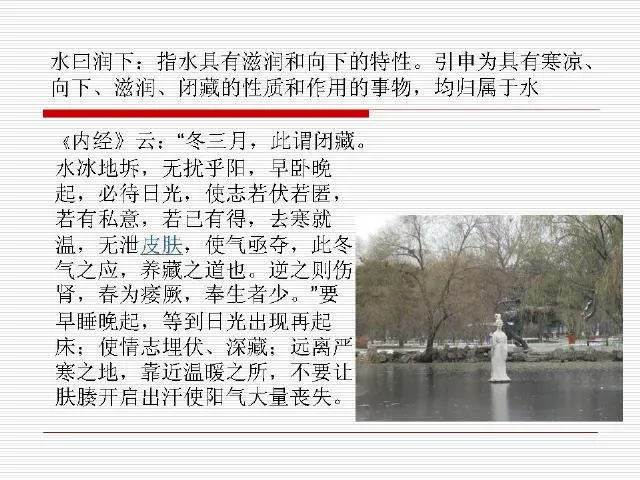 中医基础理论大全，赶紧收藏吧！插图22