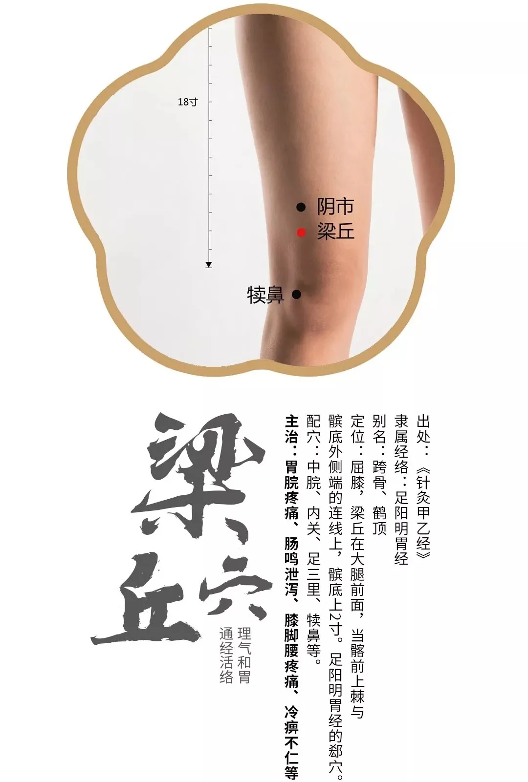 必知！9 个常用穴位养生指南，经络气血调和就靠它插图2