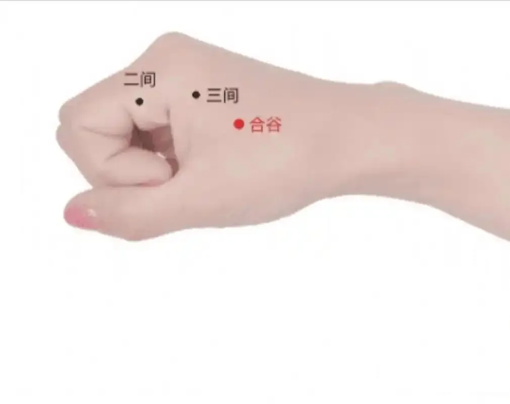 揭秘 “神奇铁三角”：足三里、合谷、太冲穴位按摩的健康奥秘插图1