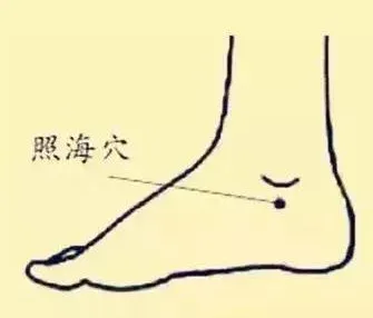 必知穴位图解及详细功效作用大揭秘！从太阳穴到照海穴一文全掌握插图26