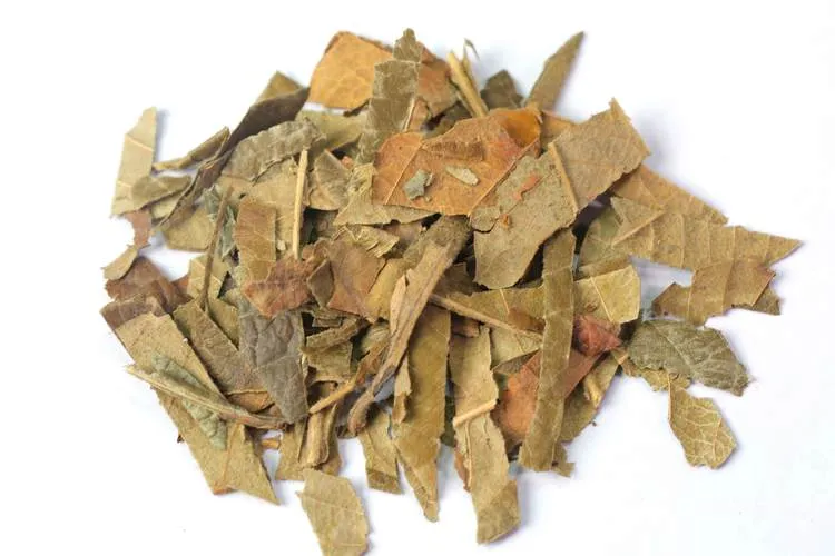 别把 “珍宝” 当 “废草”：5 种被低估中药材的逆袭之路插图4