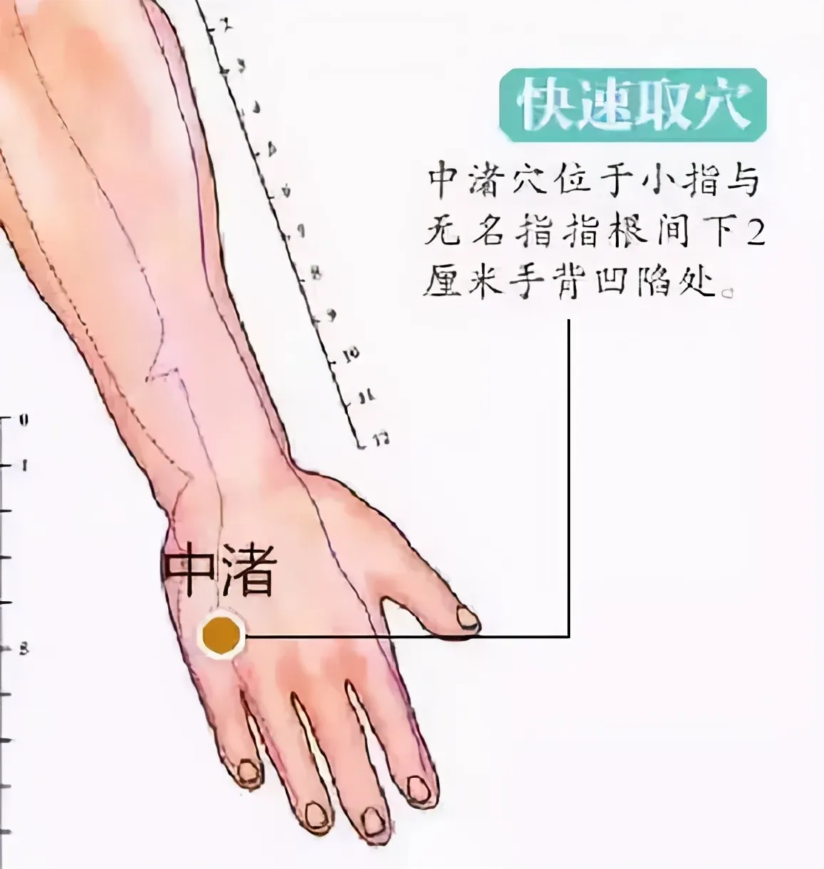 30 个超级有效穴位大集合：病症对应、取穴方法与按摩诀窍全知晓！插图9