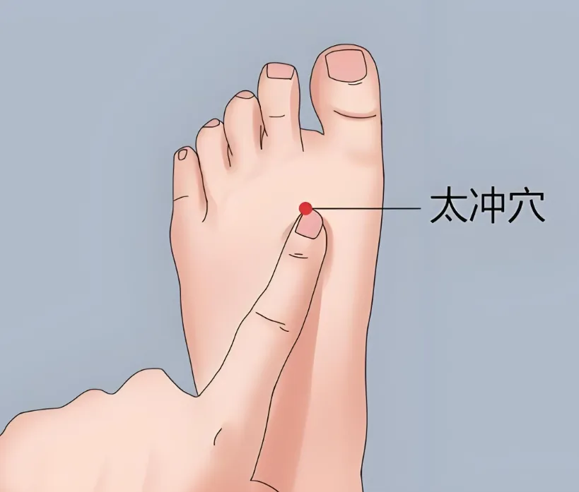 揭秘 “神奇铁三角”：足三里、合谷、太冲穴位按摩的健康奥秘插图2