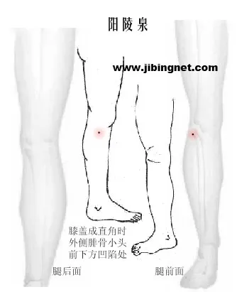 一文读懂人体最重要 12 大穴位,养生保健全攻略!插图8 一文读懂人体最重要 12 大穴位,养生保健全攻略!插图8