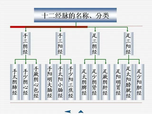 中医基础理论大全，赶紧收藏吧！插图57