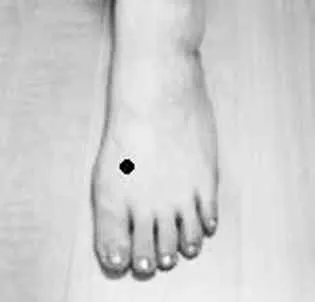 一文读懂人体最重要 12 大穴位,养生保健全攻略!插图13 一文读懂人体最重要 12 大穴位,养生保健全攻略!插图13