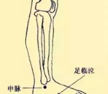 必知穴位图解及详细功效作用大揭秘！从太阳穴到照海穴一文全掌握插图24