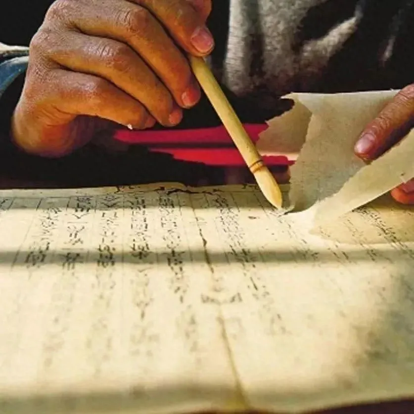 中医前辈竺友泉应对脱发与斑秃的妙方，凉血化瘀养新血插图