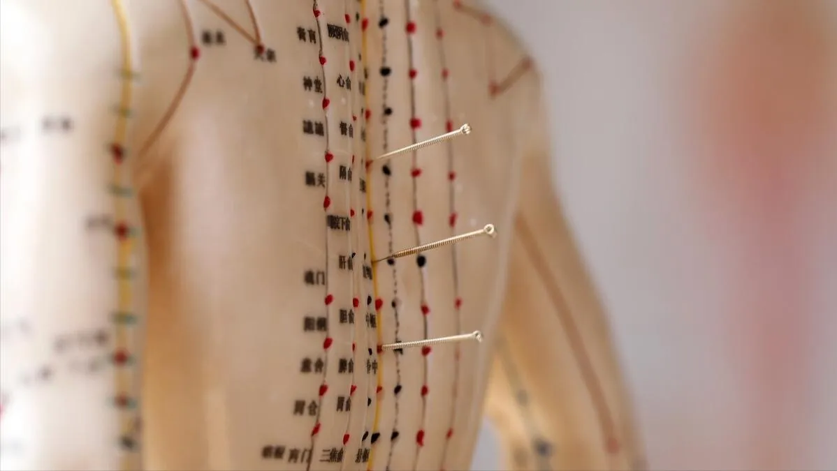 必知！人体八大关键穴位，开启中医养生保健密码插图