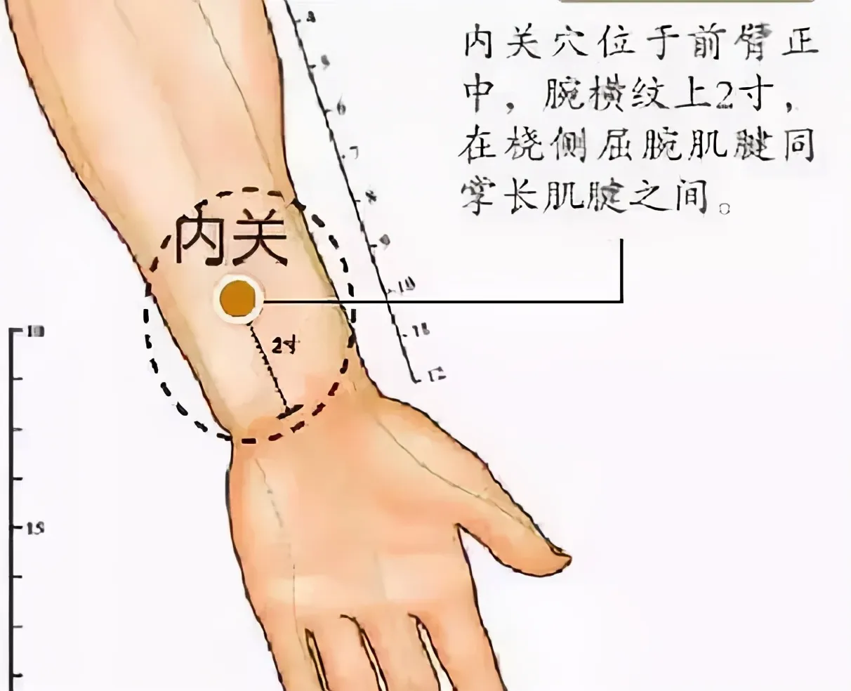 30 个超级有效穴位大集合：病症对应、取穴方法与按摩诀窍全知晓！插图4