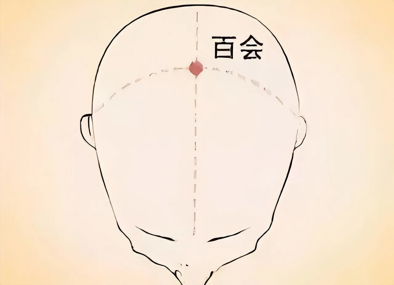 中医穴位养生全攻略：常见穴位解析与综合养生指南插图5